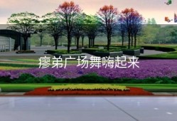 瘳弟广场舞嗨起来