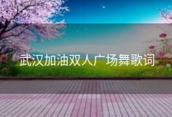 武汉加油双人广场舞歌词