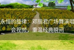 永恒的旋律：邓丽君广场舞演唱会视频，重温经典瞬间