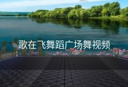 歌在飞舞蹈广场舞视频