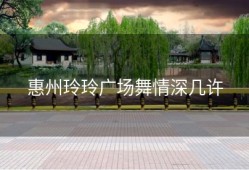 惠州玲玲广场舞情深几许