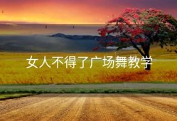 女人不得了广场舞教学