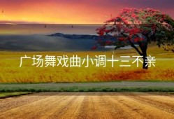 广场舞戏曲小调十三不亲