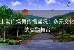 上海广场舞传播盛况：多元文化的交融舞台