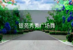 银苑秀秀广场舞