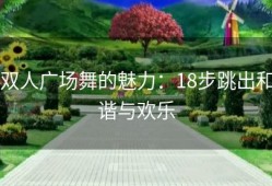 双人广场舞的魅力：18步跳出和谐与欢乐