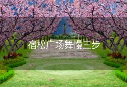 宿松广场舞慢三步