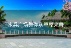 水兵广场舞你从草原来舞