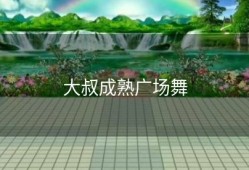 大叔成熟广场舞
