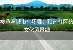 梭鱼湾城市广场舞：和谐社区的文化风景线