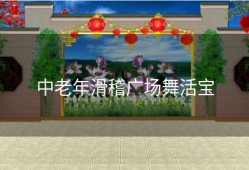 中老年滑稽广场舞活宝