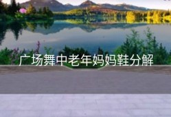 广场舞中老年妈妈鞋分解