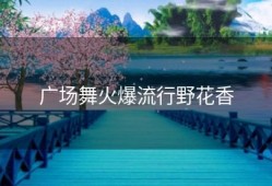 广场舞火爆流行野花香