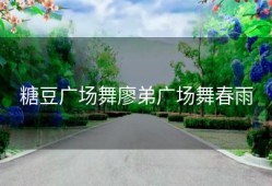 糖豆广场舞廖弟广场舞春雨