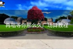 再唱等你那么久广场舞教程