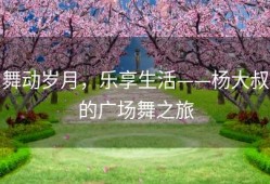 舞动岁月，乐享生活——杨大叔的广场舞之旅