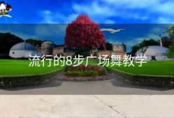 流行的8步广场舞教学