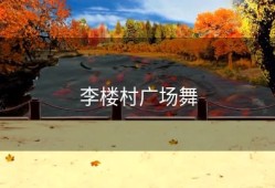 李楼村广场舞