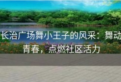 长治广场舞小王子的风采：舞动青春，点燃社区活力