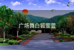 广场舞白狐萱萱
