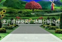 王广成绿旋风广场舞分解动作