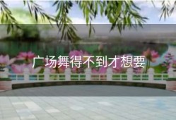 广场舞得不到才想要