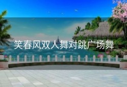 笑春风双人舞对跳广场舞