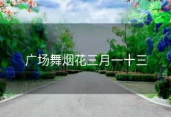 广场舞烟花三月一十三