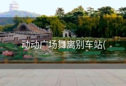 动动广场舞离别车站(