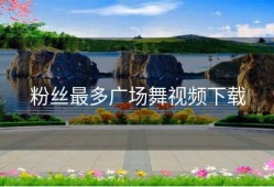 粉丝最多广场舞视频下载