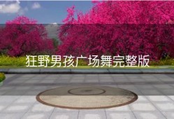 狂野男孩广场舞完整版