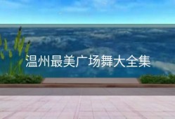 温州最美广场舞大全集