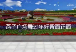 燕子广场舞过年好背面正面