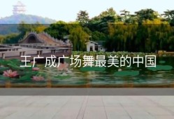 王广成广场舞最美的中国