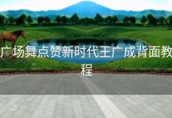 广场舞点赞新时代王广成背面教程