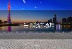一生飞翔广场舞