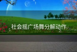 社会摇广场舞分解动作