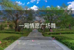 一厢情愿广场舞