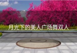 月光下的美人广场舞双人