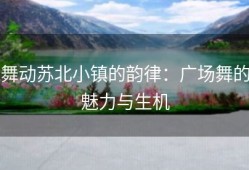 舞动苏北小镇的韵律：广场舞的魅力与生机