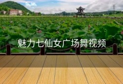 魅力七仙女广场舞视频
