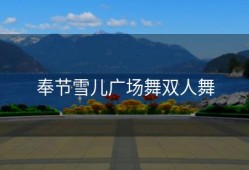 奉节雪儿广场舞双人舞