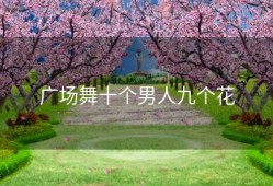 广场舞十个男人九个花