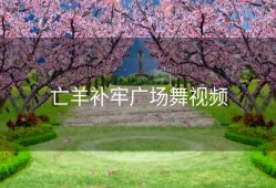 亡羊补牢广场舞视频