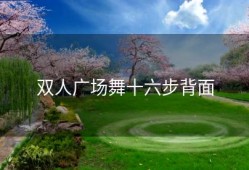 双人广场舞十六步背面