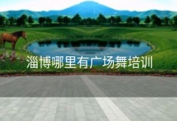 淄博哪里有广场舞培训