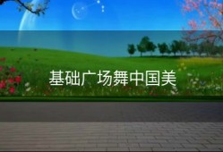 基础广场舞中国美