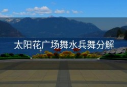 太阳花广场舞水兵舞分解