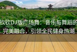 钦钦DJ版广场舞：音乐与舞蹈的完美融合，引领全民健身热潮