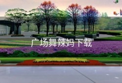 广场舞辣妈下载